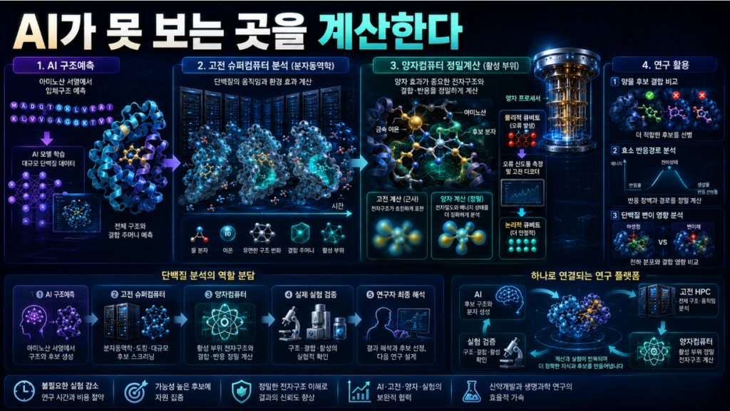 AI가 단백질 전체 구조를 예측하고 고전 슈퍼컴퓨터가 움직임을 분석하며 양자컴퓨터가 활성 부위의 전자구조를 정밀 계산하는 모습